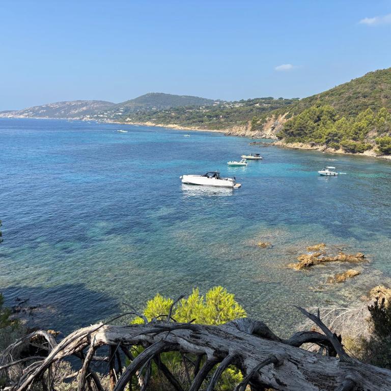 Unptitparadis, piscine, jardin, vue panoramique mer, tout confort, calme - Casa con 2 Camere da Letto - 42