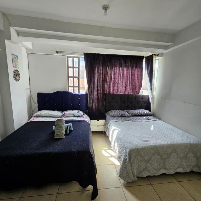 Cute apartment close to the airport American Embassy and conecta - Family Studio - 2