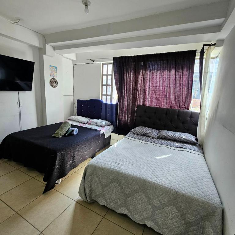 Cute apartment close to the airport American Embassy and conecta - Family Studio - 5