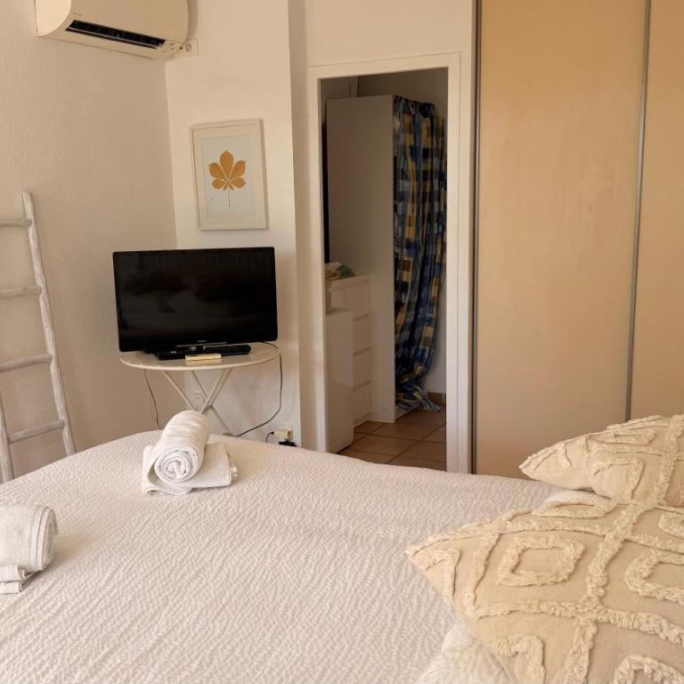 Mazet Jardin de Fontanille, patio, piscine et parking - Maison 1 Chambre - 8