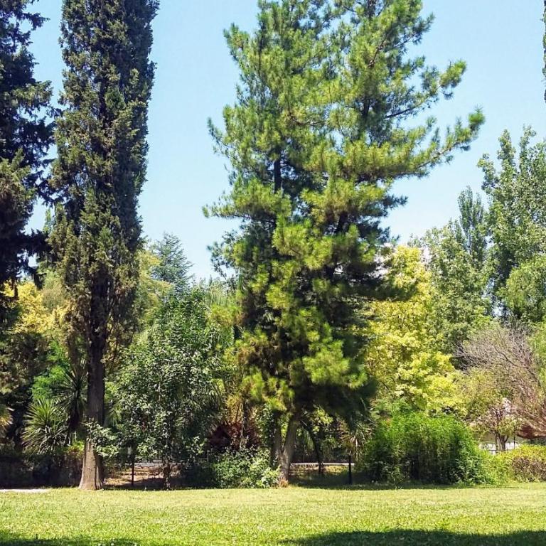 Hermosa casa Ecológica más dormy con gran parque y piscina en zona privilegiada - Five-Bedroom House - 24