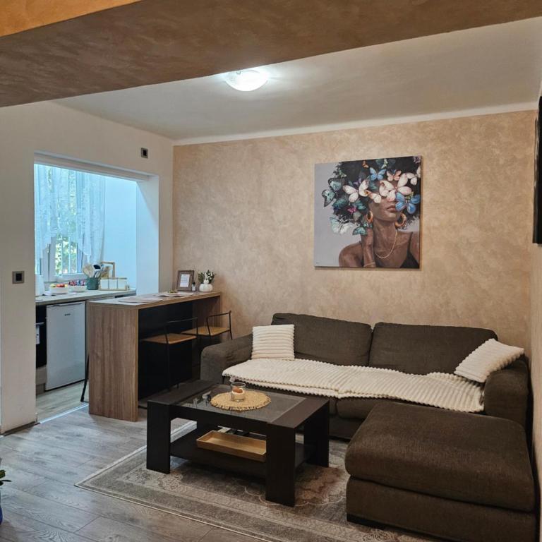 Casa Dorcol - Apartment mit 2 Schlafzimmern - 1