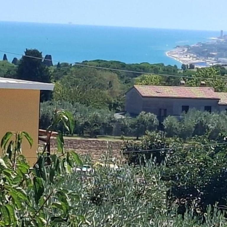 Sirolo with sea view, private garage, center 700 m - One-Bedroom Apartment - 5