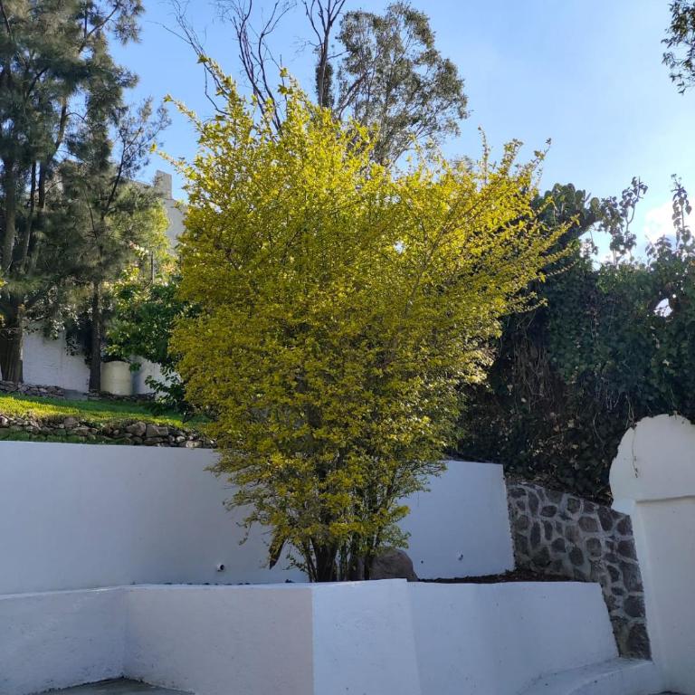 Residencia Las Águilas - Villa Superior - 5