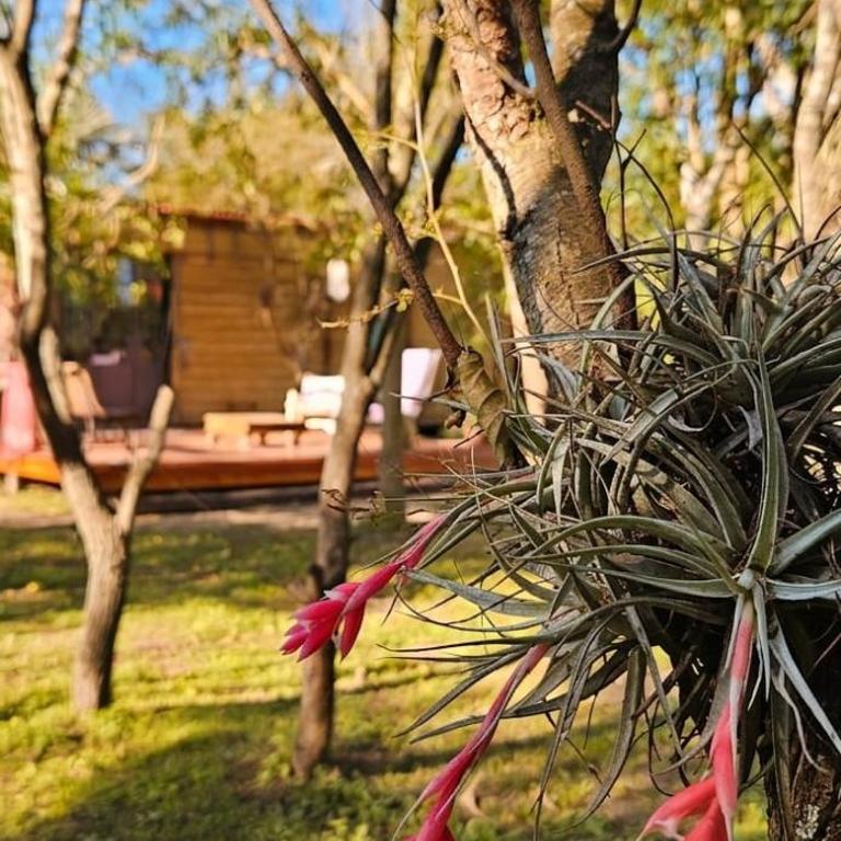 apart en Vagón de Tren - Casa de 2 dormitorios - 13