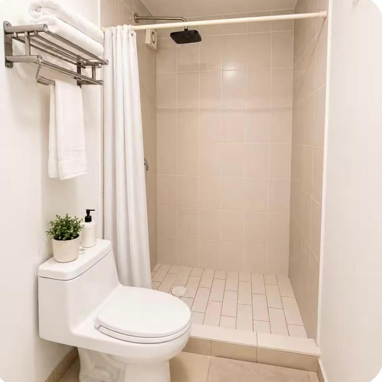 Apartment in downtown Guadalajara - Three-Bedroom Apartment - 25