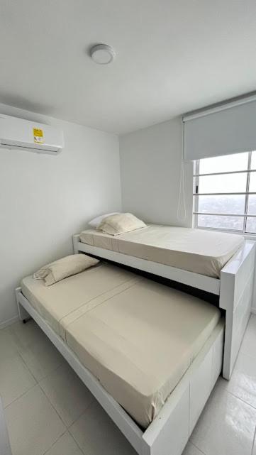 apartamento en torre primi - Three-Bedroom Apartment - 13
