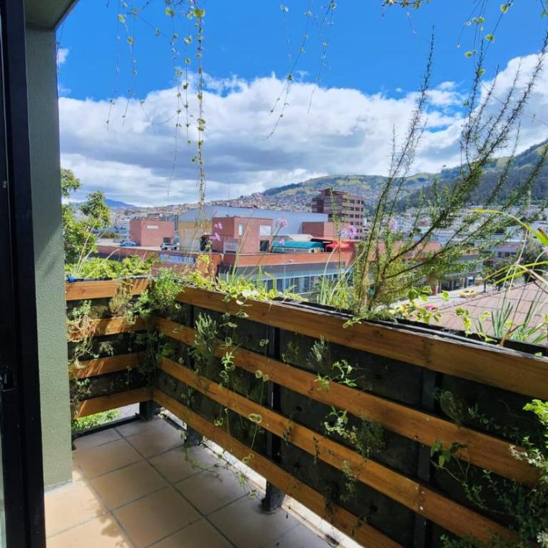Suite 2 cuadras Universidad Central - Apartamento de 1 dormitorio - 19