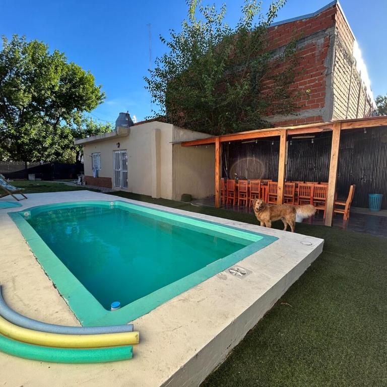 Scala 561 - Apartamento de 2 dormitorios - 10