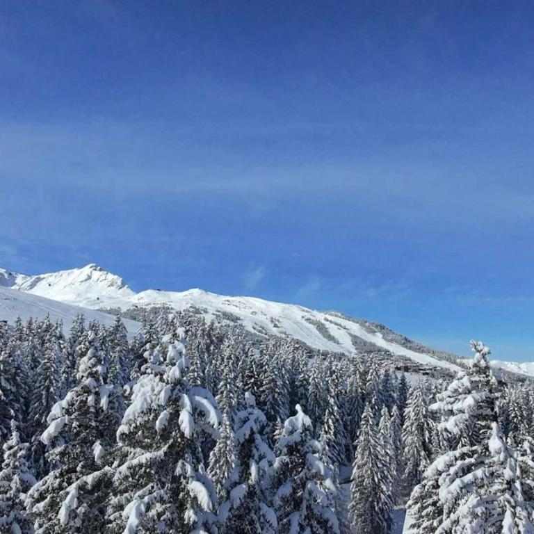 Luxury Penthouse Ski-in andout Panoramic View - Apartamento - 4