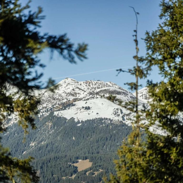 Luxury Penthouse Ski-in andout Panoramic View - Apartamento - 13