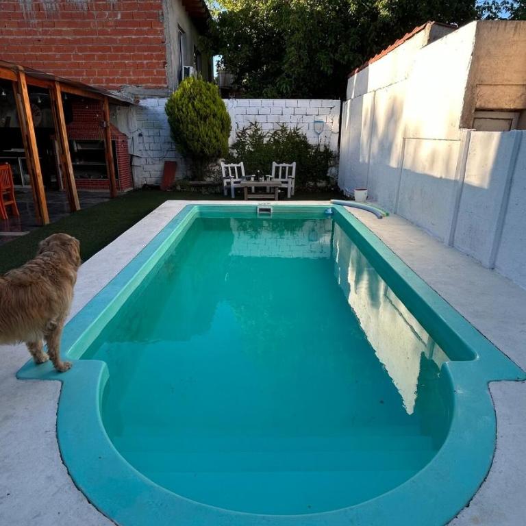 Escala 561 - Apartamento de 2 dormitorios - 18