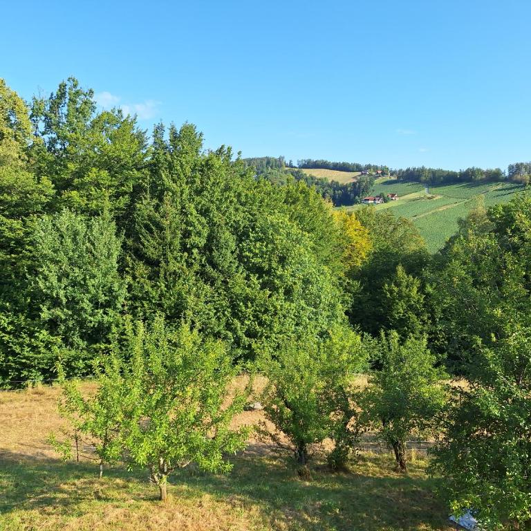 Südsteirisches HOFGLÜCK das XXL Ferienreich im 1 STOCK - Deluxe Suite mit Whirlpool-Badewanne - 43