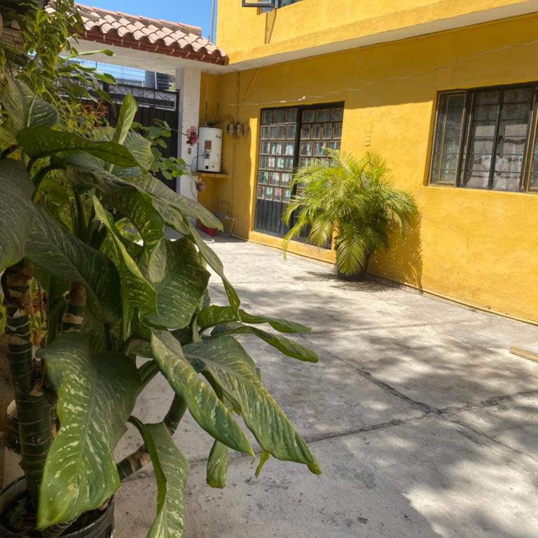 El henequén - Apartamento de 2 dormitorios - 5