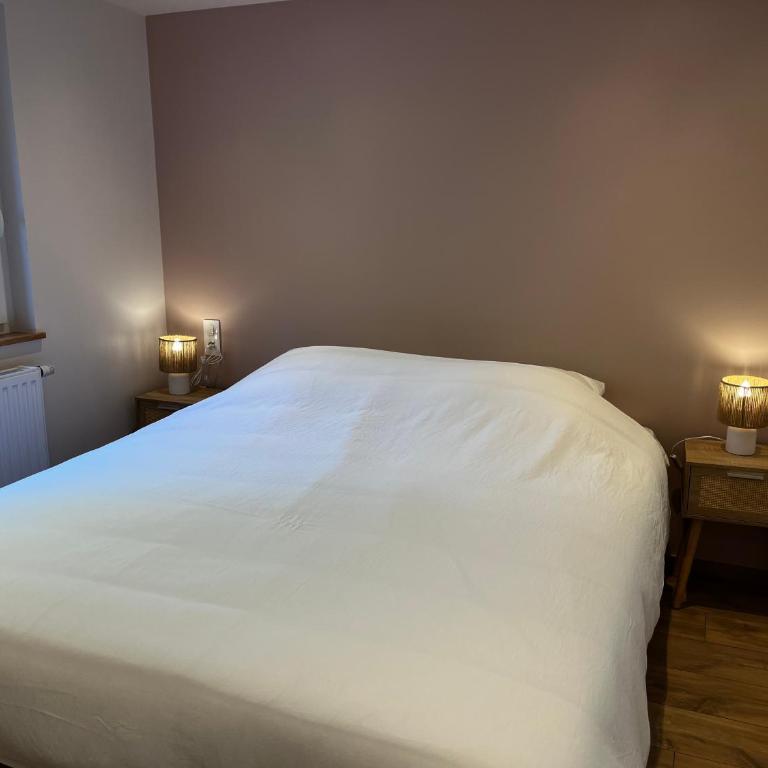 Chalet des Épicéas - babyfoot billard & PS - Chalet - 18