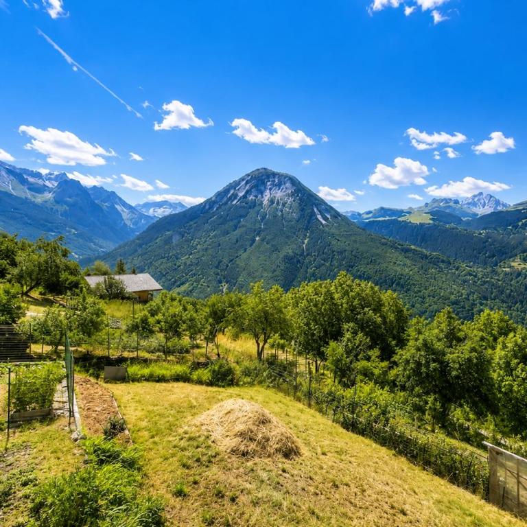 Exceptional View - Former Savoyard Farm - 14 people - Chalet - 24