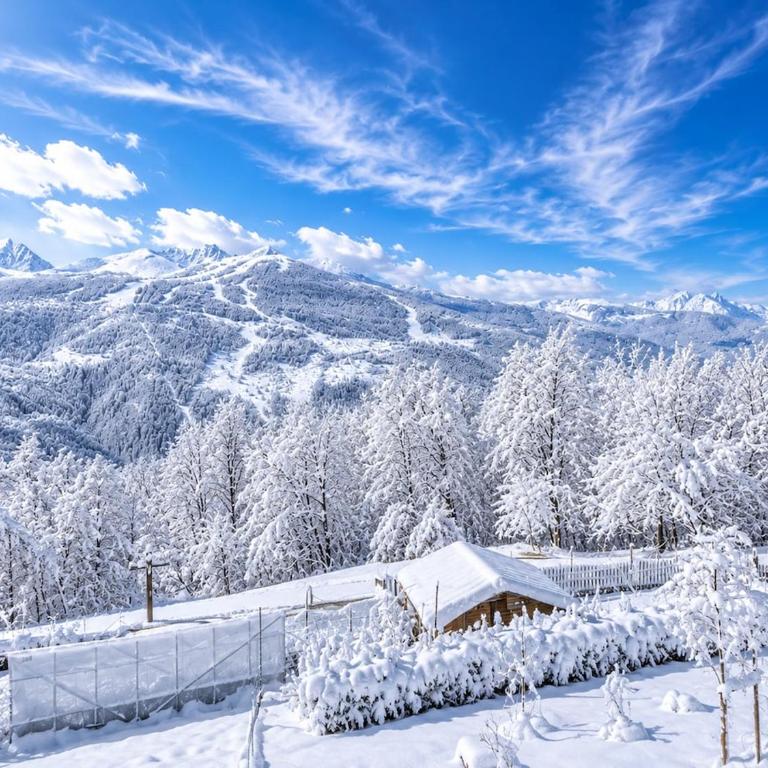 Exceptional View - Former Savoyard Farm - 14 people - Chalet - 28