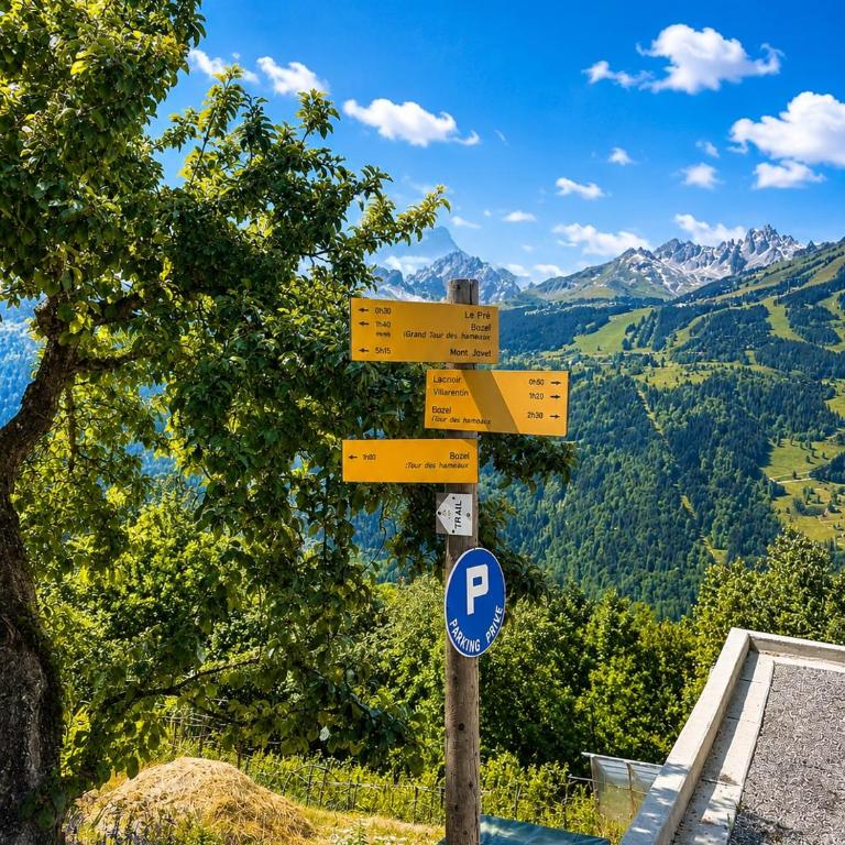 Exceptional View - Former Savoyard Farm - 14 people - Chalet - 38
