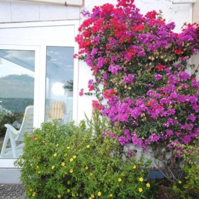 Vista panorámica Océano Atlántico - Two-Bedroom House - 12