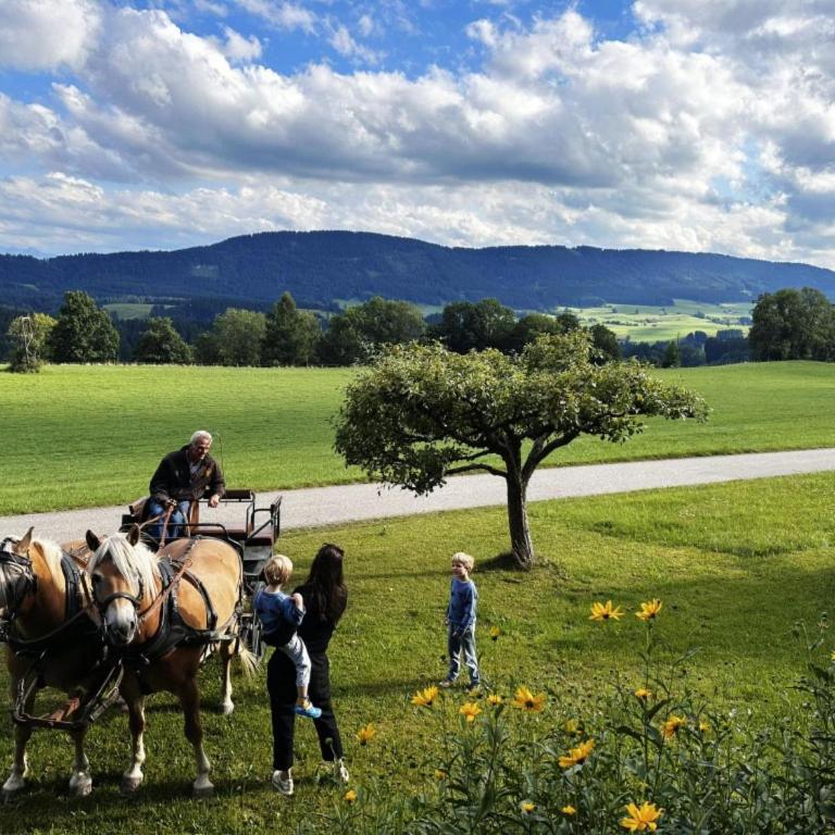 Henninghof - Ferienhaus - 4