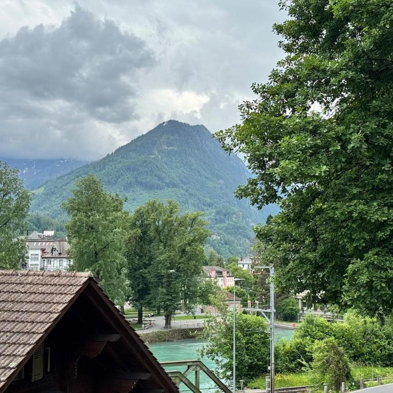 River 3 -Kissed Retreat with Iconic Jungfraujoch View - Two-Bedroom Apartment - 15