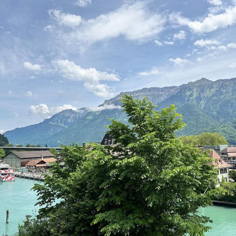 River 3 -Kissed Retreat with Iconic Jungfraujoch View - Two-Bedroom Apartment - 36