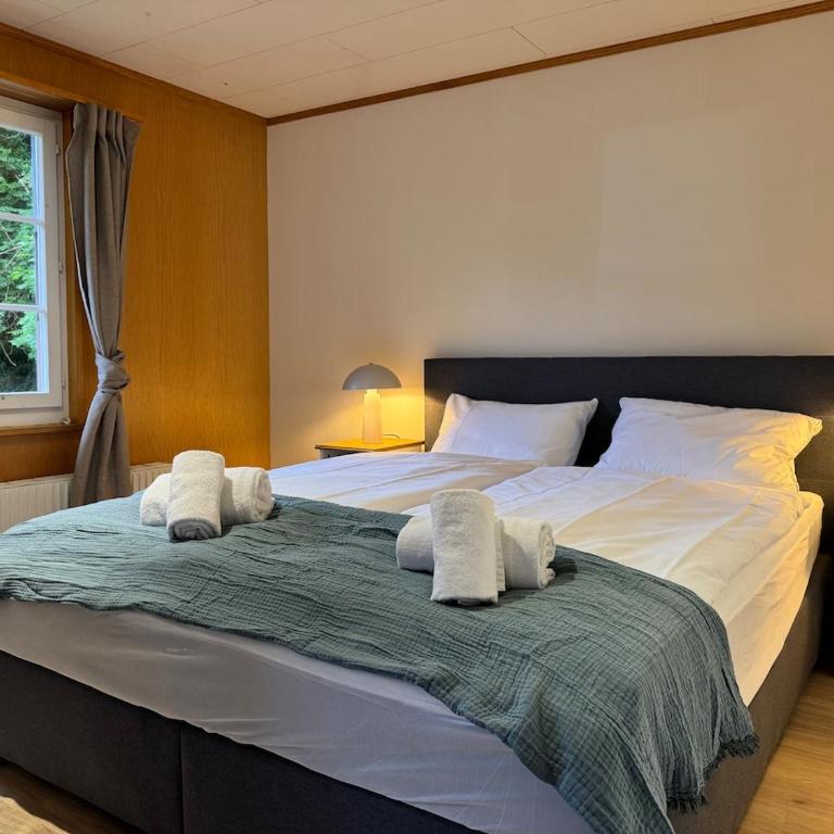 River 3 -Kissed Retreat with Iconic Jungfraujoch View - Two-Bedroom Apartment - 12