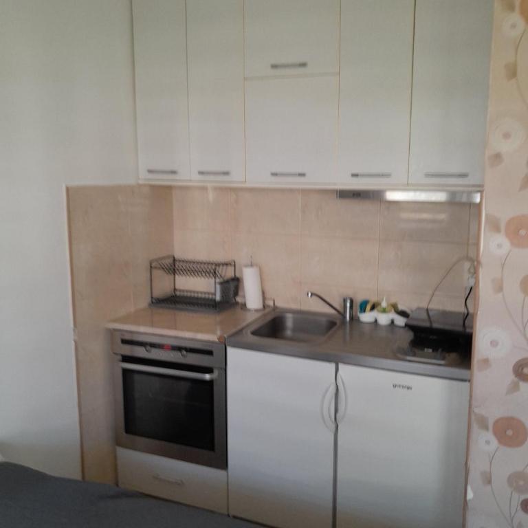 Apartman Petar Banja Koviljača - Apartman sa 1 Spavaćom Sobom - 7