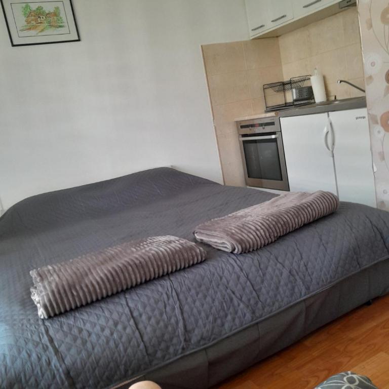 Apartman Petar Banja Koviljača - Apartman sa 1 Spavaćom Sobom - 1