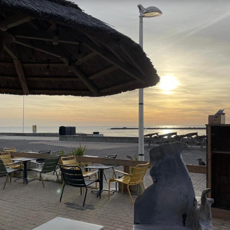 Magnifique P2 face mer, climatisé, direct plage - Appartement 1 Chambre - 24