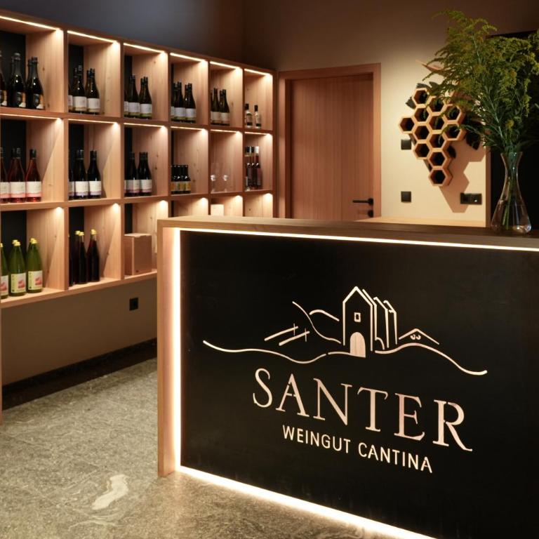 Weingut Santer Apartments - Appartamento con 1 Camera da Letto - 9