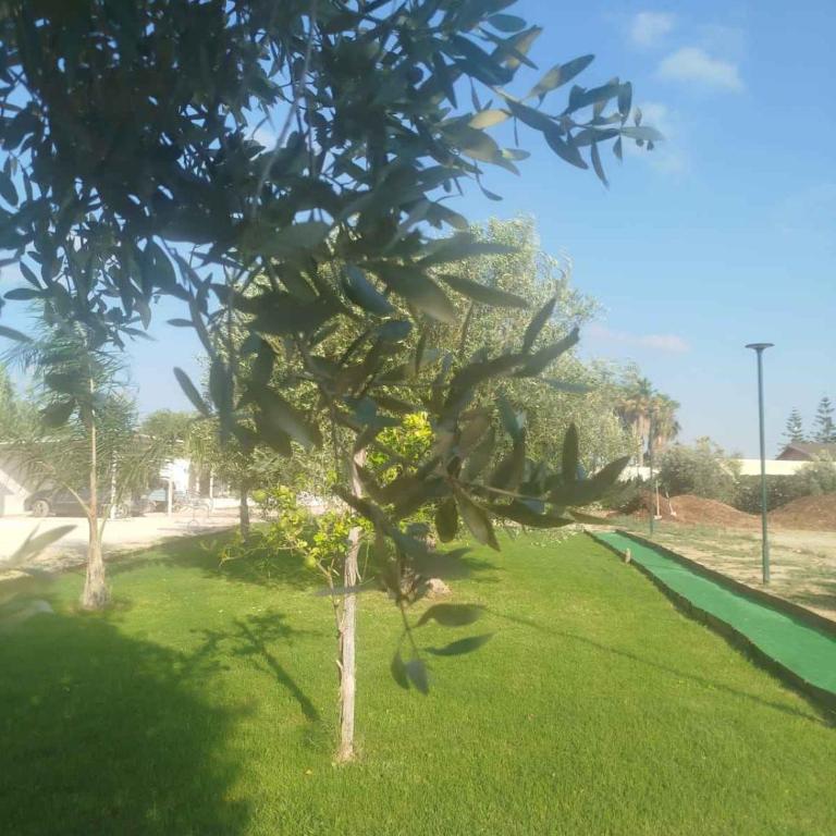 Villa Waterfront in Santa Maria del Focallo 58180 - Villa - 23