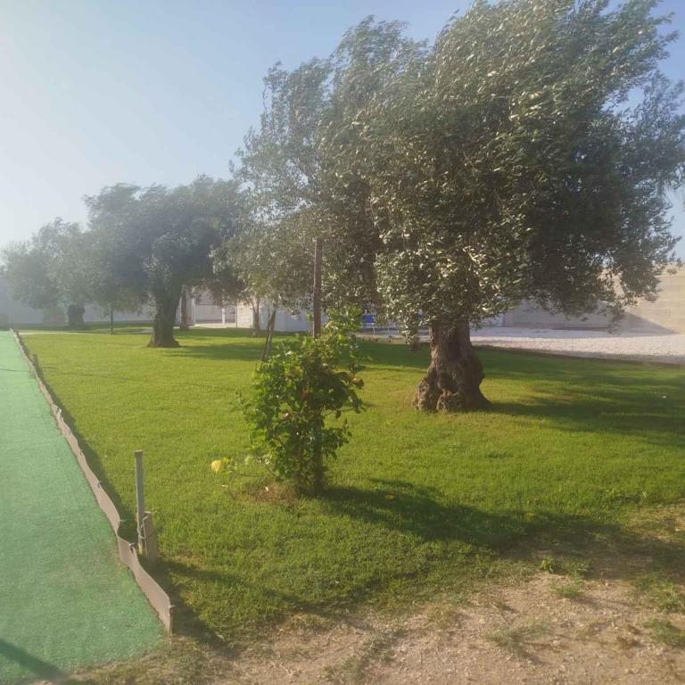 Villa Waterfront in Santa Maria del Focallo 58180 - Villa - 25