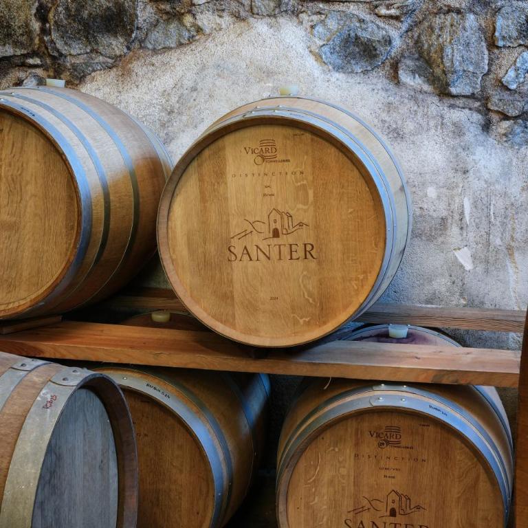 Weingut Santer Apartments - Appartamento con 2 Camere da Letto - 14