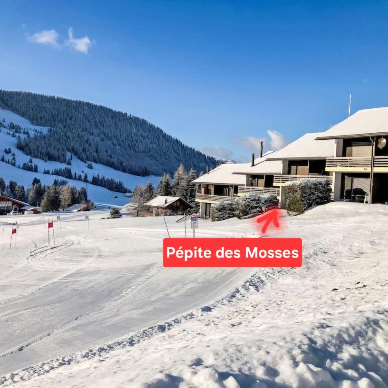 Pépite des Mosses - Apartment mit 2 Schlafzimmern - 2