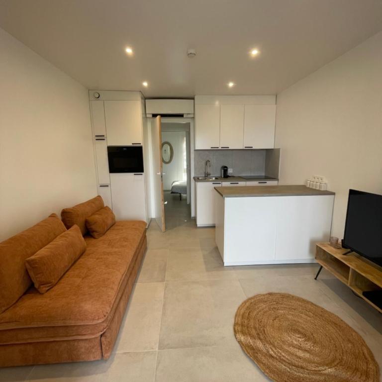 Magnifique appartement vue mer sur le Cap Dramont - Appartement 1 Chambre avec Vue sur la Mer et Terrasse - 3