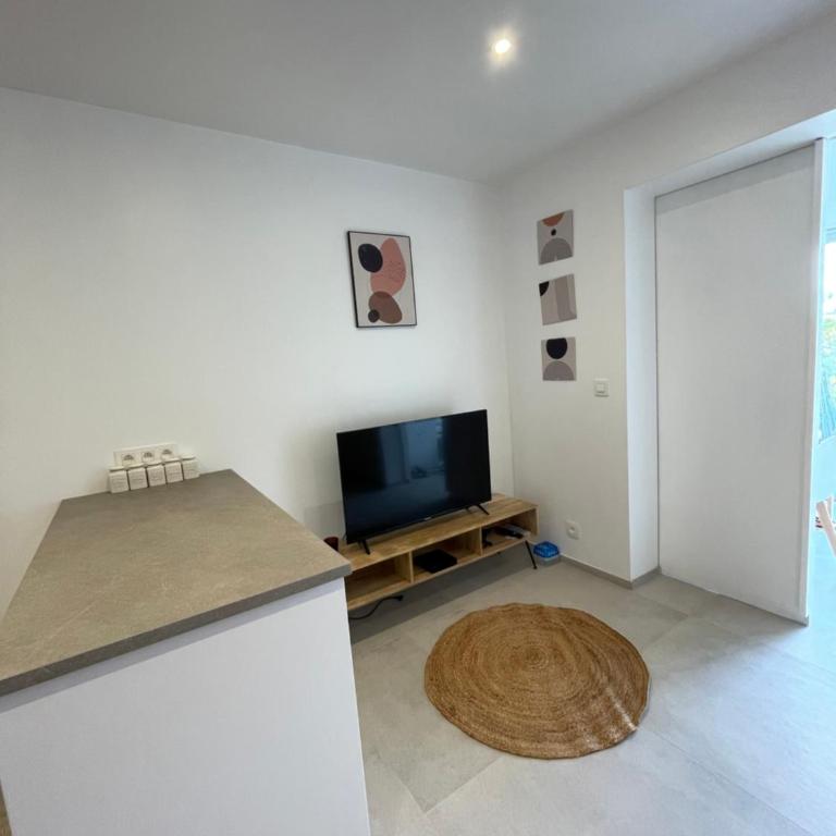 Magnifique appartement vue mer sur le Cap Dramont - Appartement 1 Chambre avec Vue sur la Mer et Terrasse - 4