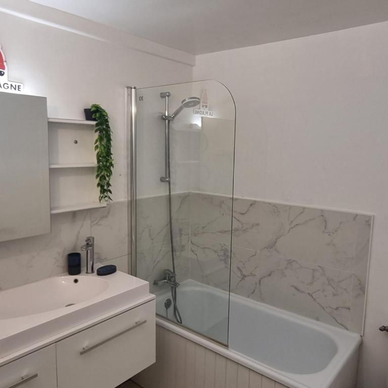 Studio divisible, ski aux pieds, terrasse, animaux admis - Studio - 12