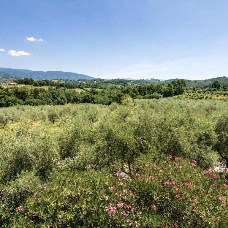 Tenuta Gaetano Spadaro - Appartamento Standard con 3 Camere da Letto - 16