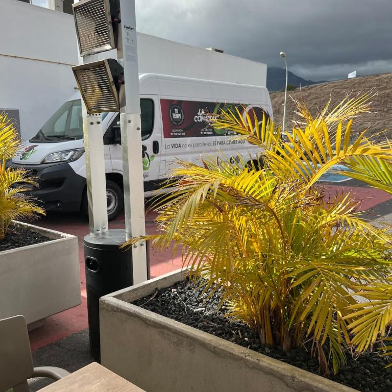San eugenio Oasis - Apartamento de 3 dormitorios - 21