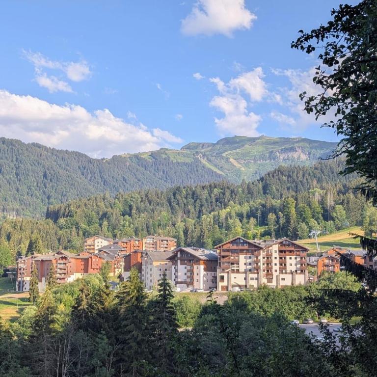 T2 cosy ski aux pieds Morillon Les Esserts - Appartement 2 Chambres - 10