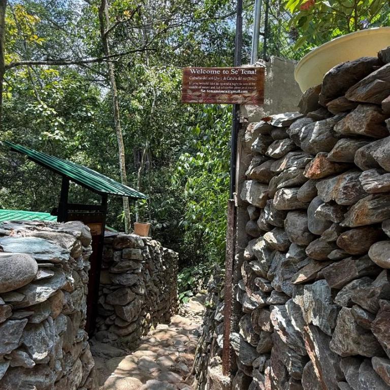 SeTena Tierra Humeda Ecolodge - Chalet - 7