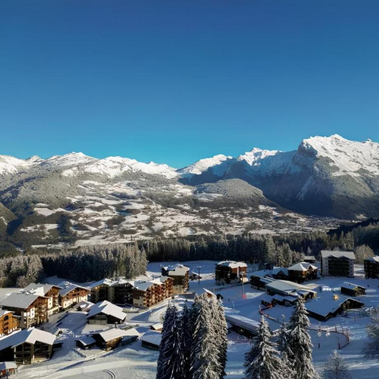 T2 cosy ski aux pieds Morillon Les Esserts - Appartement 2 Chambres - 17