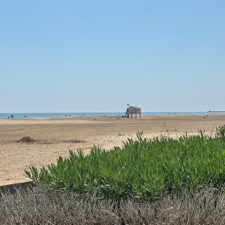 Les mers du sud - Sur la plage - Apartamento de 1 dormitorio - 4