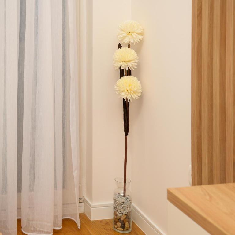 Luxe Point Podgorica - Apartman sa 1 Spavaćom Sobom - 6
