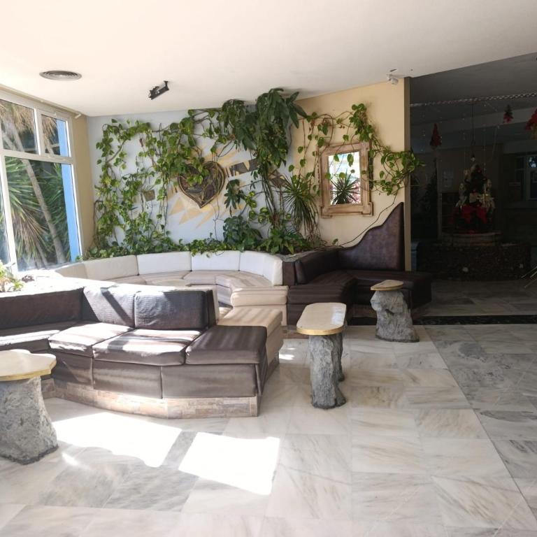 Playa Verde - One-Bedroom Apartment - 4