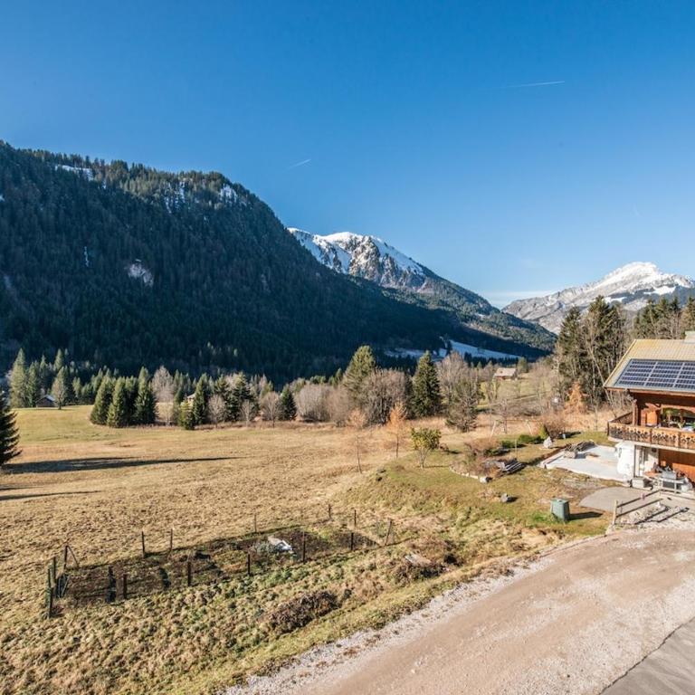 Chalet Cosy Près des Pistes à Châtel - Chalet - 5
