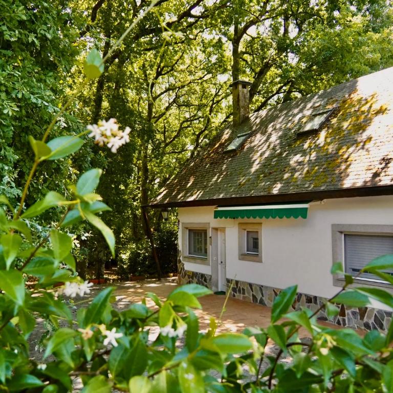 Casa Pepe Albela - 20 min de Santiago - Casa de 5 dormitorios - 44
