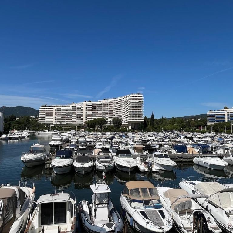 Cannes Marina - Appartement 1 Chambre - 20