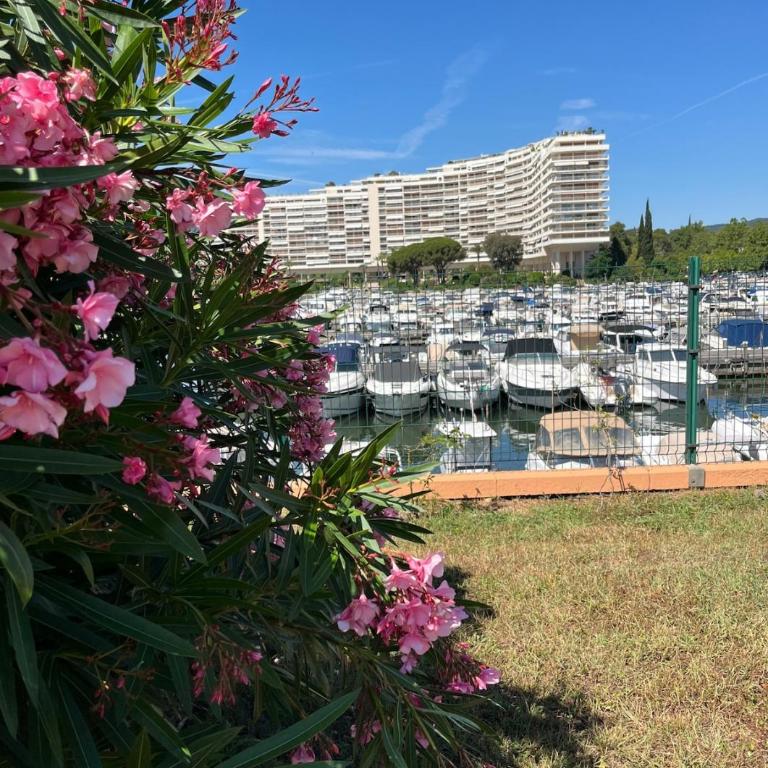 Cannes Marina - Appartement 1 Chambre - 21